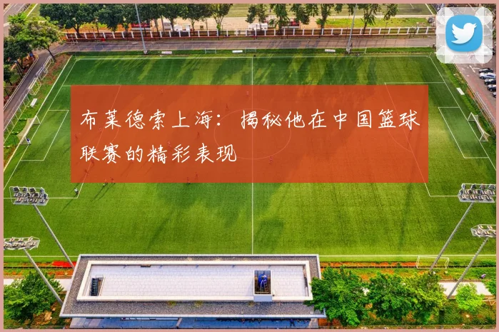 布莱德索上海:揭秘他在中国篮球联赛的精彩表现